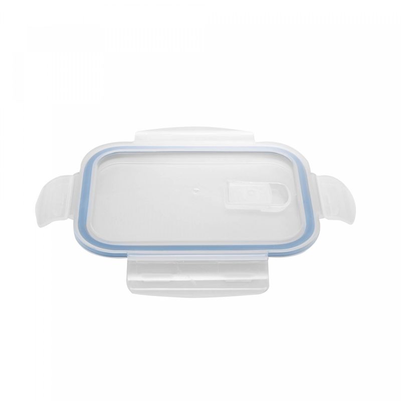 Pote-Hermetico-de-Vidro-Borossilicato-Resistente-A-Calor-com-Tampa-Plastica-Lines-104L-Wolff
