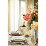 Conjunto-6-Pratos-Fundos-de-Porcelana-Limoges-Vendange-22cm-Wolff