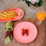 Prato-de-Porcelana-Nordica-Rosa-Matt-26cm-x-3cm-Wolff