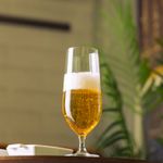 Conjunto-6-Tacas-para-Cerveja-De-Cristal-Ecologico-Columba-Optic-470Ml-Wolff