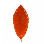 Folha-Decorativa-de-Ceramica-Laranja-32cm-x-12cm-x-4cm-Wolff