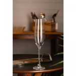 Conjunto-6-Tacas-para-Champanhe-De-Cristal-Ecologico-Columba-Optic-260Ml-Wolff