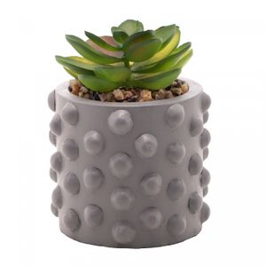 Cachepot de Cimento com Suculenta Bubbles Cinza 7,5cm x 10,5cm - Wolff