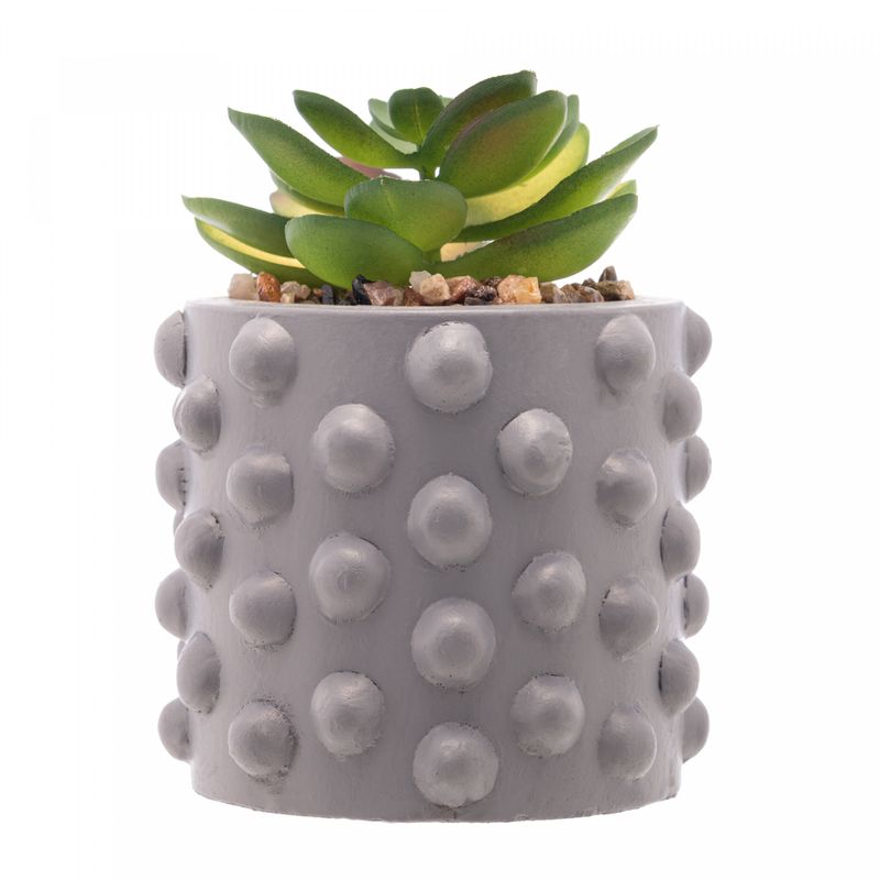 Cachepot-de-Cimento-com-Suculenta-Bubbles-Cinza-75cm-x-105cm-Wolff