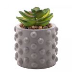 Cachepot-de-Cimento-com-Suculenta-Bubbles-Cinza-75cm-x-105cm-Wolff