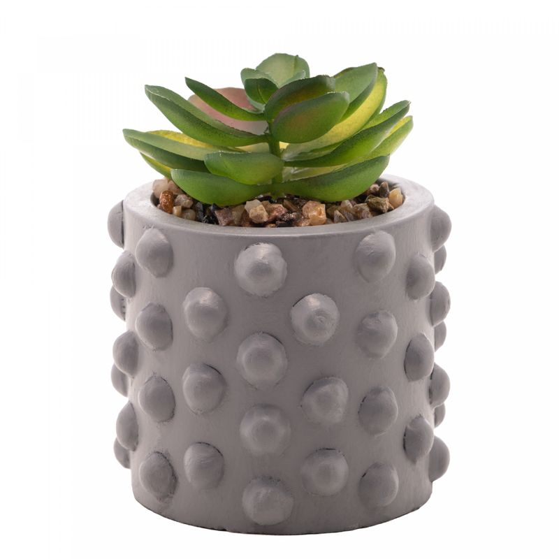 Cachepot-de-Cimento-com-Suculenta-Bubbles-Cinza-75cm-x-105cm-Wolff