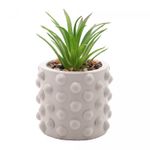 Cachepot-de-Cimento-com-Suculenta-Bubbles-Cinza-Claro-75cm-x-105cm-Wolff