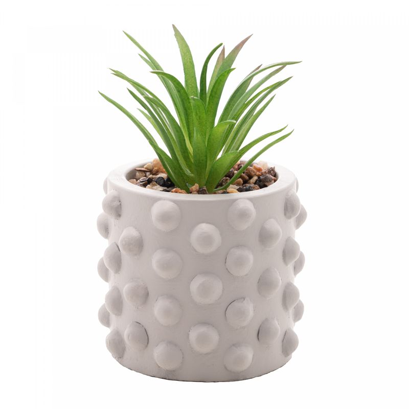 Cachepot-de-Cimento-com-Suculenta-Bubbles-Cinza-Claro-75cm-x-105cm-Wolff
