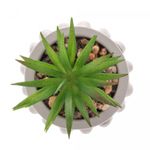 Cachepot-de-Cimento-com-Suculenta-Bubbles-Cinza-Claro-75cm-x-105cm-Wolff