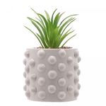 Cachepot-de-Cimento-com-Suculenta-Bubbles-Cinza-Claro-75cm-x-105cm-Wolff
