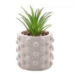 Cachepot-de-Cimento-com-Suculenta-Bubbles-Cinza-Claro-75cm-x-105cm-Wolff
