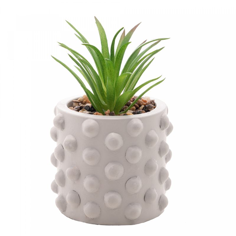 Cachepot-de-Cimento-com-Suculenta-Bubbles-Cinza-Claro-75cm-x-105cm-Wolff