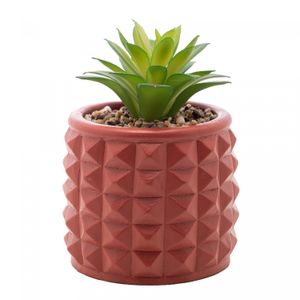 Cachepot de Cimento com Suculenta Spikes Terracota 7,5cm x 11cm - Wolff