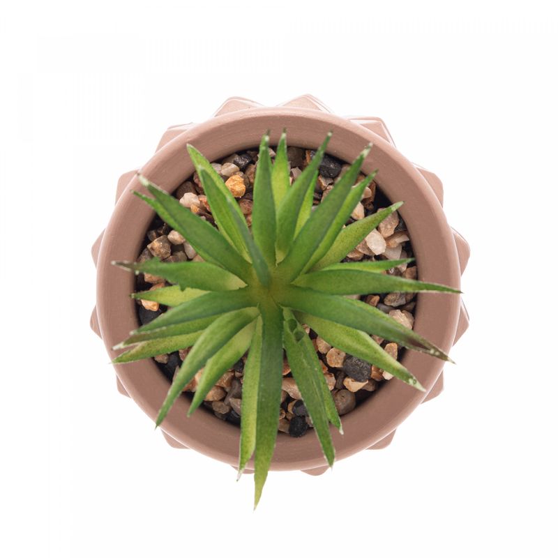 Cachepot-de-Cimento-com-Suculenta-Spikes-Marrom-75cm-x-11cm-Wolff