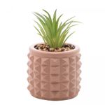 Cachepot-de-Cimento-com-Suculenta-Spikes-Marrom-75cm-x-11cm-Wolff