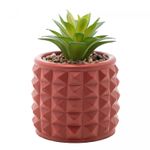 Cachepot-de-Cimento-com-Suculenta-Spikes-Terracota-10cm-x-15cm-Wolff
