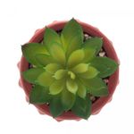 Cachepot-de-Cimento-com-Suculenta-Spikes-Terracota-10cm-x-15cm-Wolff