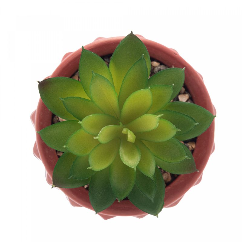 Cachepot-de-Cimento-com-Suculenta-Spikes-Terracota-10cm-x-15cm-Wolff