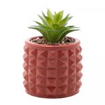 Cachepot-de-Cimento-com-Suculenta-Spikes-Terracota-10cm-x-15cm-Wolff