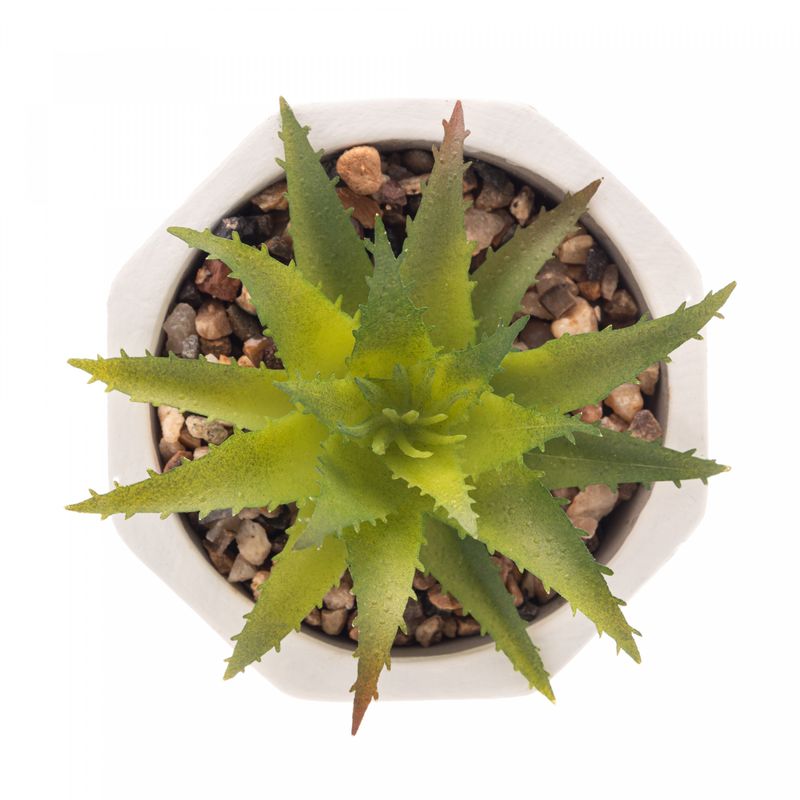 Cachepot-de-Cimento-com-Suculenta-Geometrico-Branco-75cm-x-95cm-Wolff