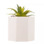 Cachepot-de-Cimento-com-Suculenta-Geometrico-Branco-75cm-x-95cm-Wolff