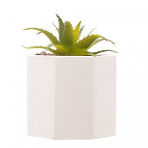 Cachepot de Cimento com Suculenta Geométrico Branco 7,5cm x 9,5cm - Wolff