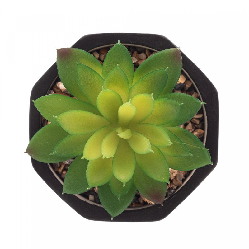 Cachepot-de-Cimento-com-Suculenta-Geometrico-Preto-10cm-x-15cm-Wolff