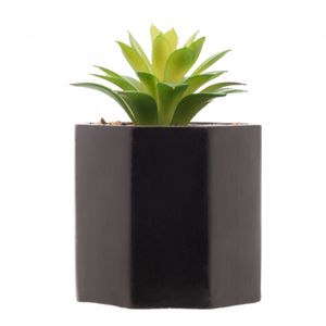Cachepot de Cimento com Suculenta Geométrico Preto 10cm x 15cm - Wolff