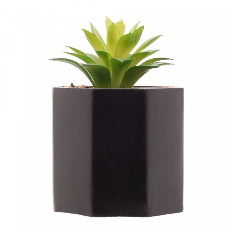 Cachepot-de-Cimento-com-Suculenta-Geometrico-Preto-10cm-x-15cm-Wolff