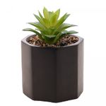 Cachepot-de-Cimento-com-Suculenta-Geometrico-Preto-10cm-x-15cm-Wolff