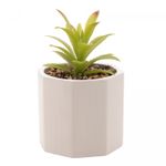 Cachepot-de-Cimento-com-Suculenta-Geometrico-Branco-10cm-x-15cm-Wolff