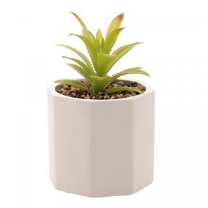 Cachepot de Cimento com Suculenta Geométrico Branco 10cm x 15cm - Wolff