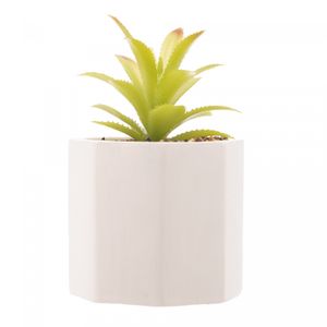 Cachepot de Cimento com Suculenta Geométrico Branco 10cm x 15cm - Wolff