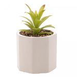 Cachepot-de-Cimento-com-Suculenta-Geometrico-Branco-10cm-x-15cm-Wolff