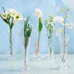 Vaso-Sortido-55cm-x-15cm-Vidro-Wolff