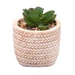 Cachepot-de-Ceramica-com-Suculenta-Trancado-75cm-x-75cm-X-95cm-Wolff