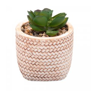 Cachepot de Cerâmica com Suculenta Trançado 7,5cm x 7,5cm X 9,5cm - Wolff