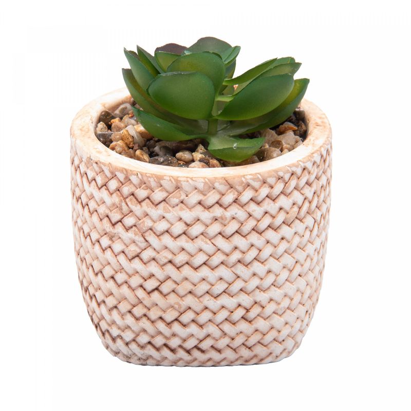 Cachepot-de-Ceramica-com-Suculenta-Trancado-75cm-x-75cm-X-95cm-Wolff