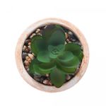 Cachepot-de-Ceramica-com-Suculenta-Trancado-75cm-x-75cm-X-95cm-Wolff