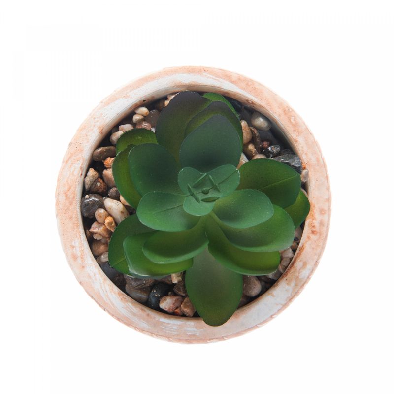 Cachepot-de-Ceramica-com-Suculenta-Trancado-75cm-x-75cm-X-95cm-Wolff