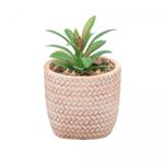 Cachepot-de-Ceramica-com-Suculenta-Rattan-7,5cm-x-7,5cm-X-9,5cm-Wolff