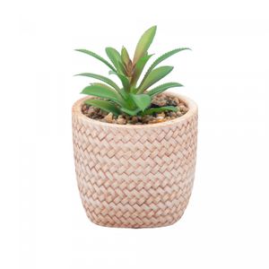 Cachepot de Cerâmica com Suculenta Trançado 10cm x 10cm X 15cm - Wolff