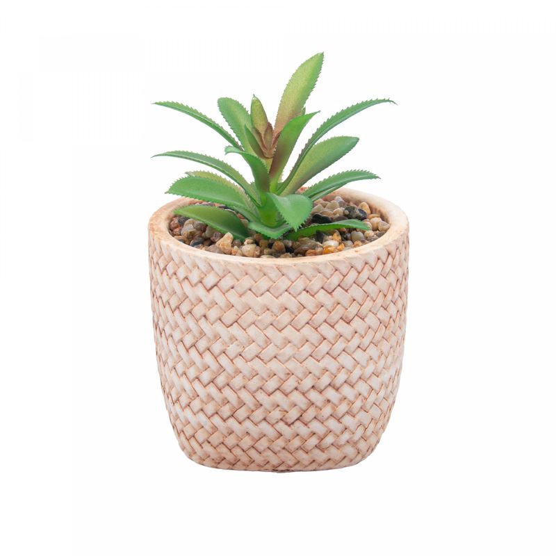 Cachepot-de-Ceramica-com-Suculenta-Rattan-7,5cm-x-7,5cm-X-9,5cm-Wolff