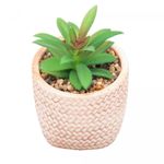 Cachepot-de-Ceramica-com-Suculenta-Rattan-7,5cm-x-7,5cm-X-9,5cm-Wolff