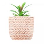Cachepot-de-Ceramica-com-Suculenta-Rattan-7,5cm-x-7,5cm-X-9,5cm-Wolff