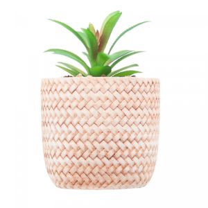 Cachepot de Cerâmica com Suculenta Trançado 10cm x 10cm X 15cm - Wolff