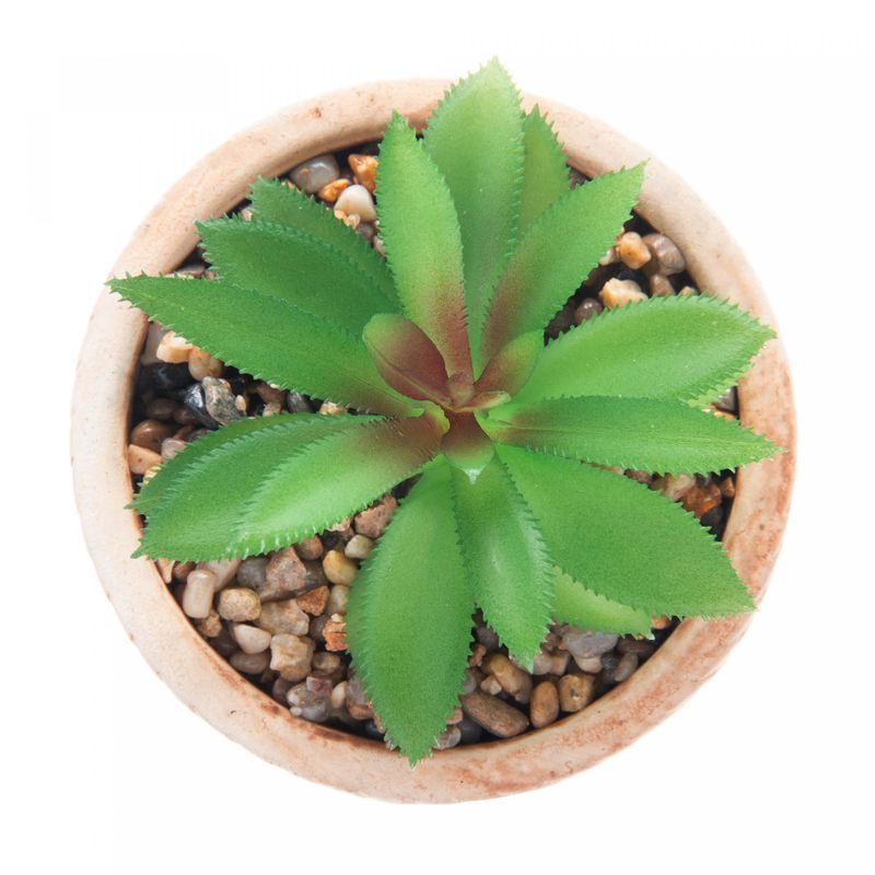 Cachepot-de-Ceramica-com-Suculenta-Rattan-7,5cm-x-7,5cm-X-9,5cm-Wolff