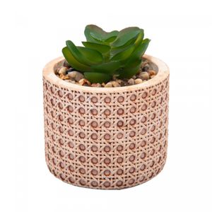 Cachepot de Cerâmica com Suculenta Treliça 7,5cm x 7,5cm X 8,5cm - Wolff