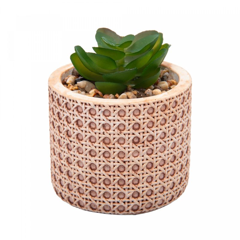 Cachepot-de-Ceramica-com-Suculenta-Palha-7,5cm-x-7,5cm-X-9,5cm-Wolff