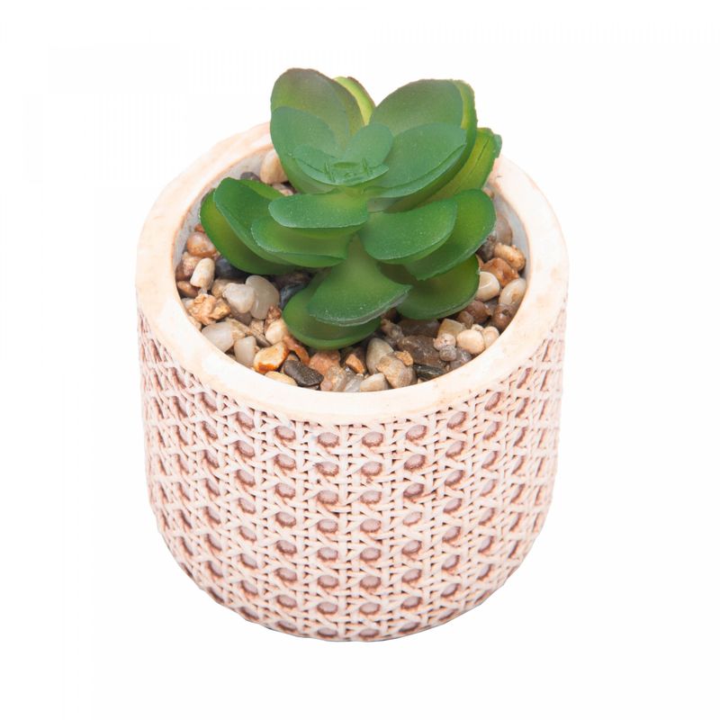 Cachepot-de-Ceramica-com-Suculenta-Palha-7,5cm-x-7,5cm-X-9,5cm-Wolff